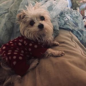 Meet your Posher, Nataly